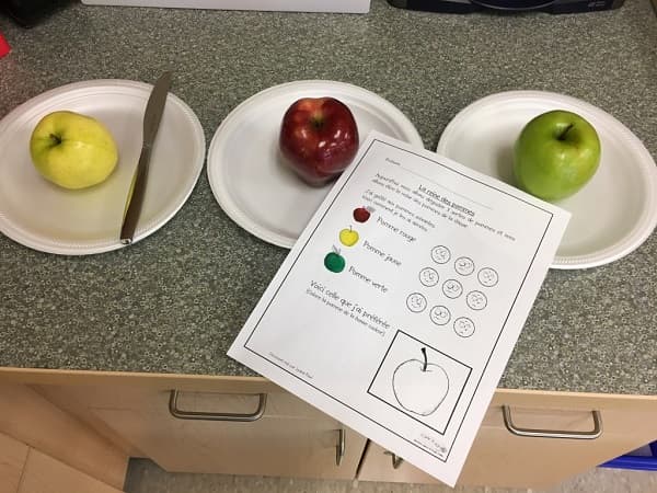 degustation-notation-3-types-pommes