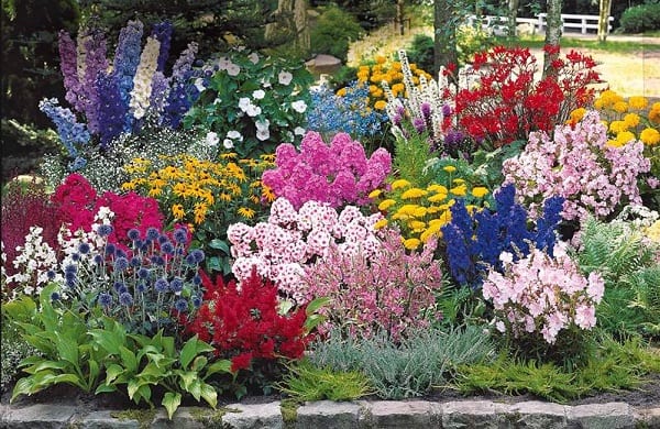 ensemble-plantes-massif-jardin
