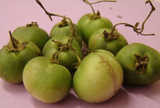 fruits-toxiques-produits-pommes-terre