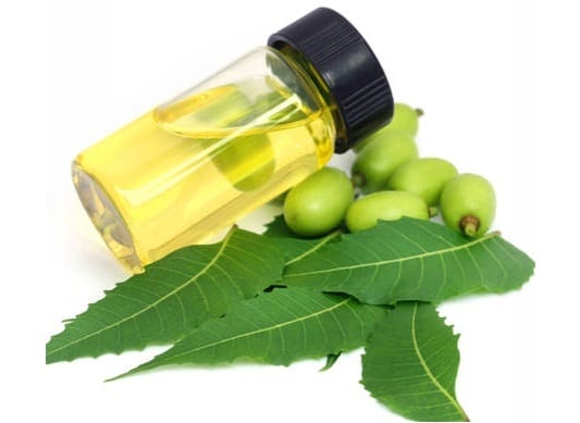 huile-neem