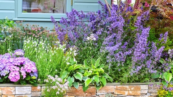 plantes-massif-decoration-jardin