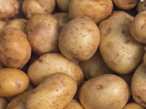 pomme-terres-Pentland-Crown