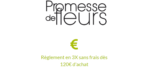 facilite-reglement-Promesse-de-fleurs