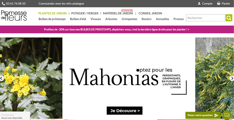 page-accueil-Promesse-de-fleurs