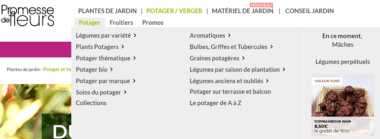 potagers-vergers-Promesse-de-fleurs
