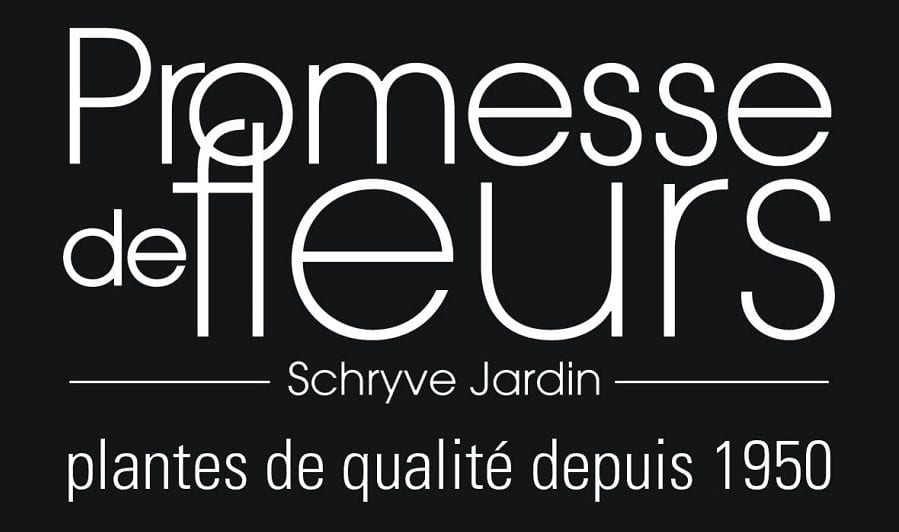 promesse-de-fleurs-avis