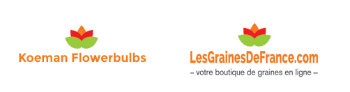 Logo-Koeman-Flowerbulbs-Graines-France