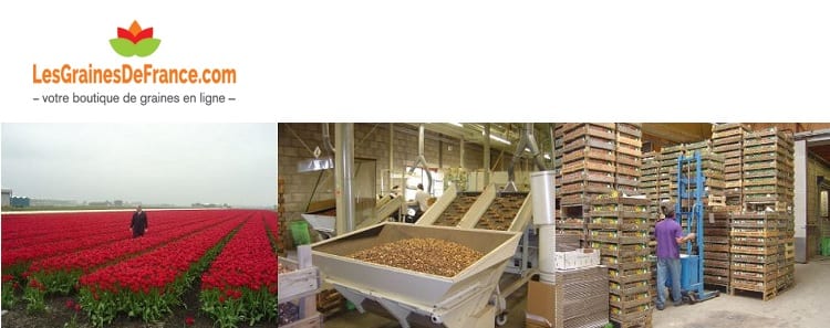 culture-production-stockage-Graines-France