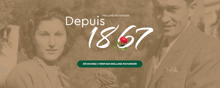 date-creation-rosieriste-Meilland-Richardier