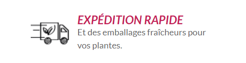 expedition-rapide-jardinerie-ligne-Willemse