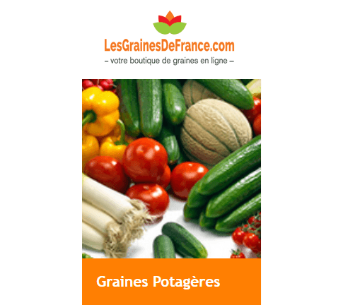 graines-potageres-Graines-France-com