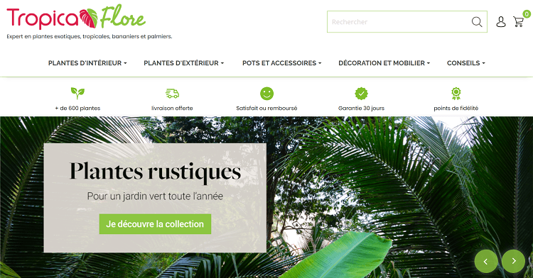 haut-page-accueil-site-Tropicaflore