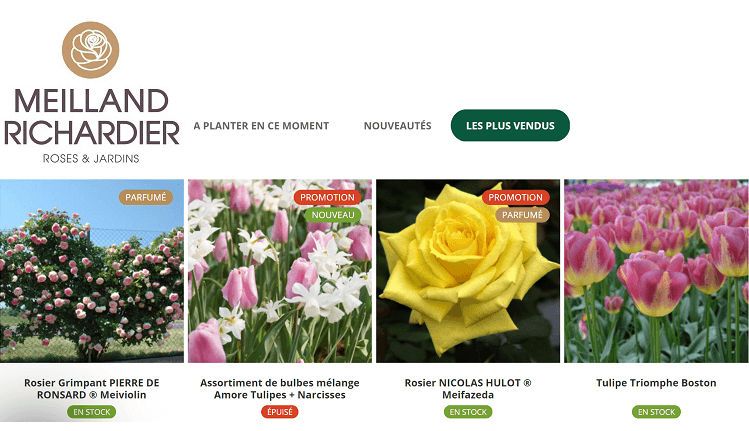 meilleures-ventes-site-Meilland-Richardier