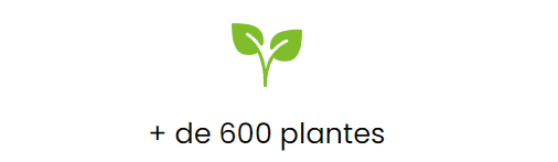 nombre-plantes-disponibles-site-Tropicaflore