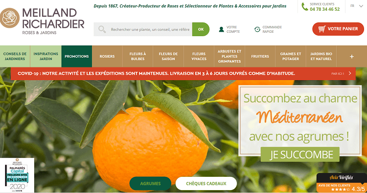 page-accueil-site-Meilland-Richardier