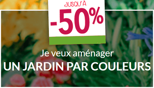 promotion-boutique-ligne-Willemse