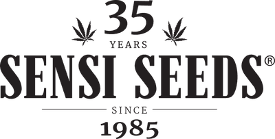 sensiseeds-cbd-avis