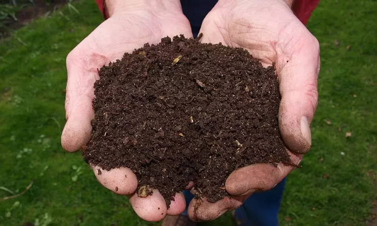 fertilisant-composte-base-terreau