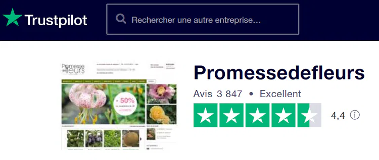 avis-clients-Promesse-de-fleurs-Trustpilot