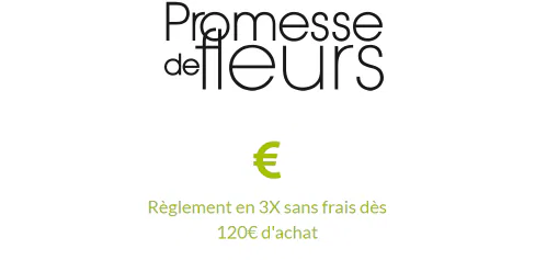 facilite-reglement-Promesse-de-fleurs