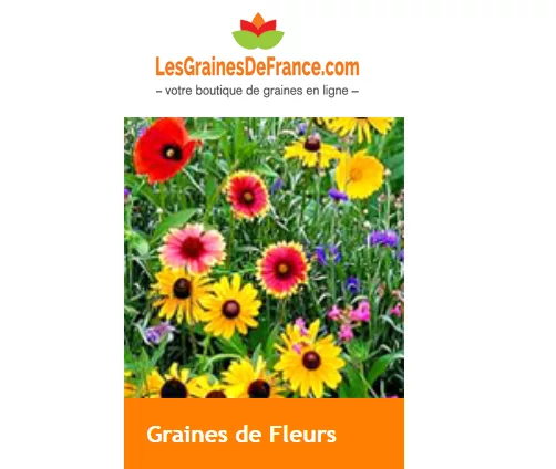 graines-fleurs-e-boutique-Graines-France