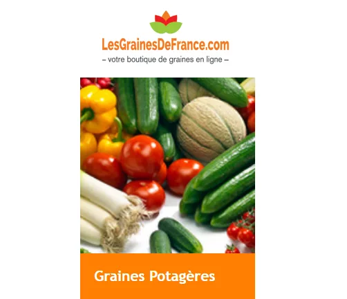 graines-potageres-Graines-France-com