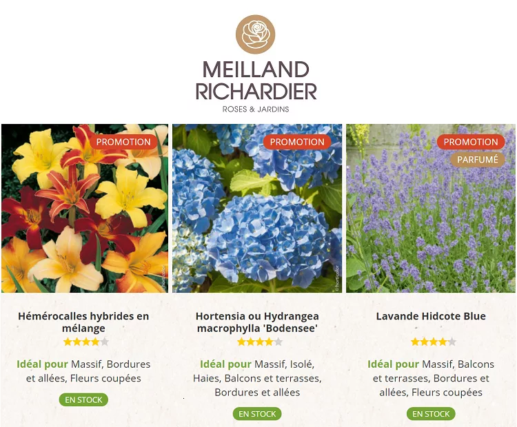 promotions-jardinerie-ligne-Meilland-Richardier