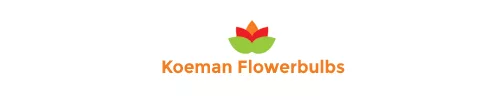 Logo-entreprise-Koeman-Flowerbulbs